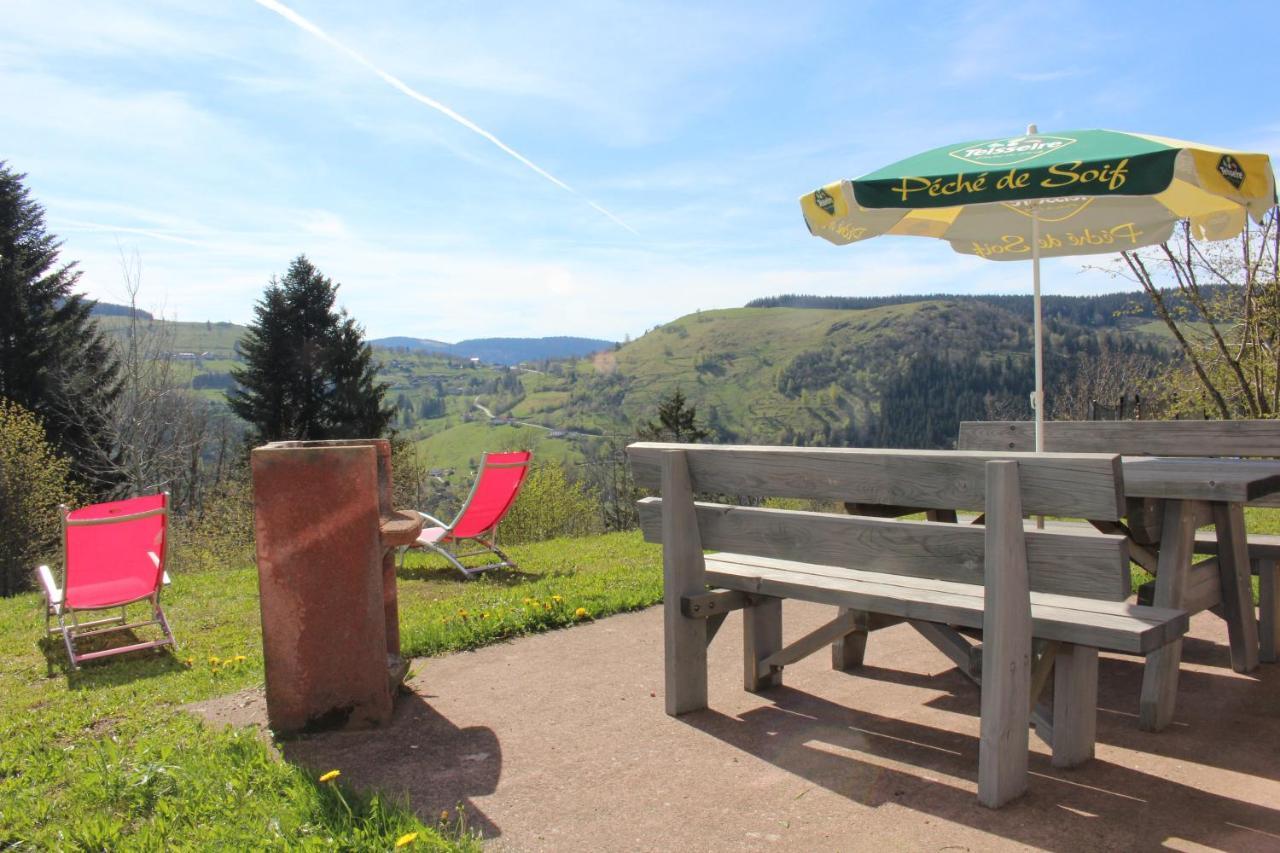 לה ברסה Chalet Les Bouleaux, La Montagne Des Lamas מראה חיצוני תמונה