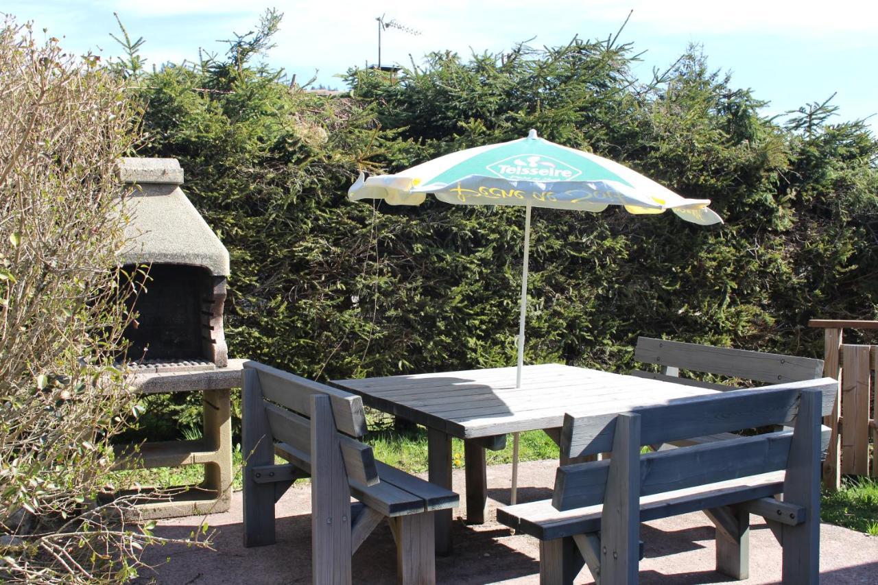 לה ברסה Chalet Les Bouleaux, La Montagne Des Lamas מראה חיצוני תמונה