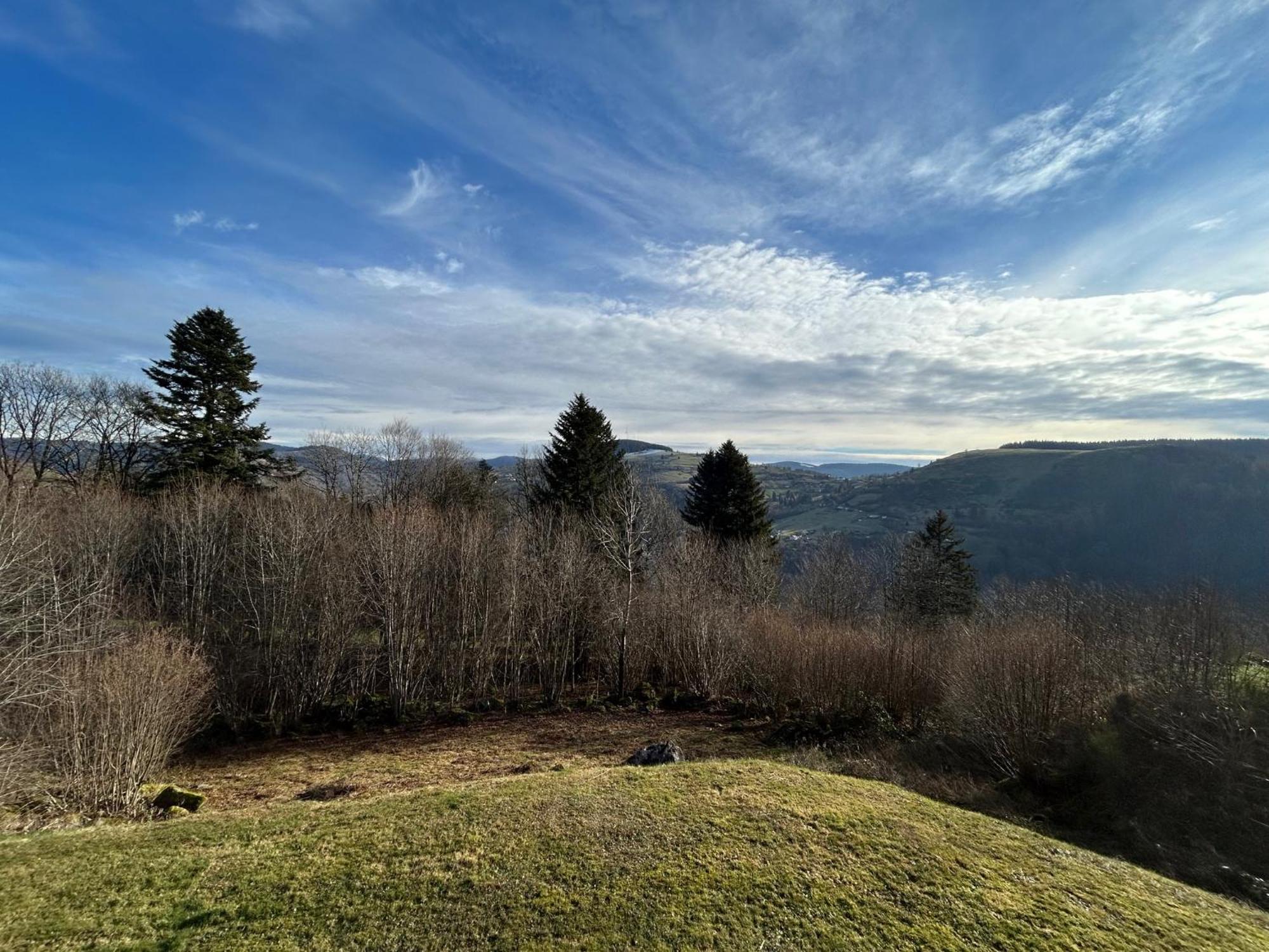 לה ברסה Chalet Les Bouleaux, La Montagne Des Lamas מראה חיצוני תמונה