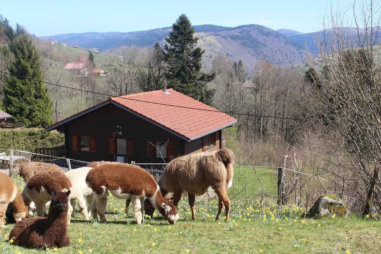 לה ברסה Chalet Les Bouleaux, La Montagne Des Lamas מראה חיצוני תמונה